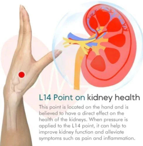 Sugar Control Acupressure Clip